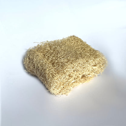 Küchenschwamm Vorteilspaket