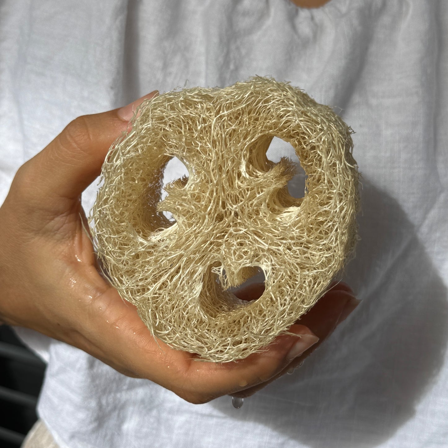 Küchenschwamm Vorteilspaket