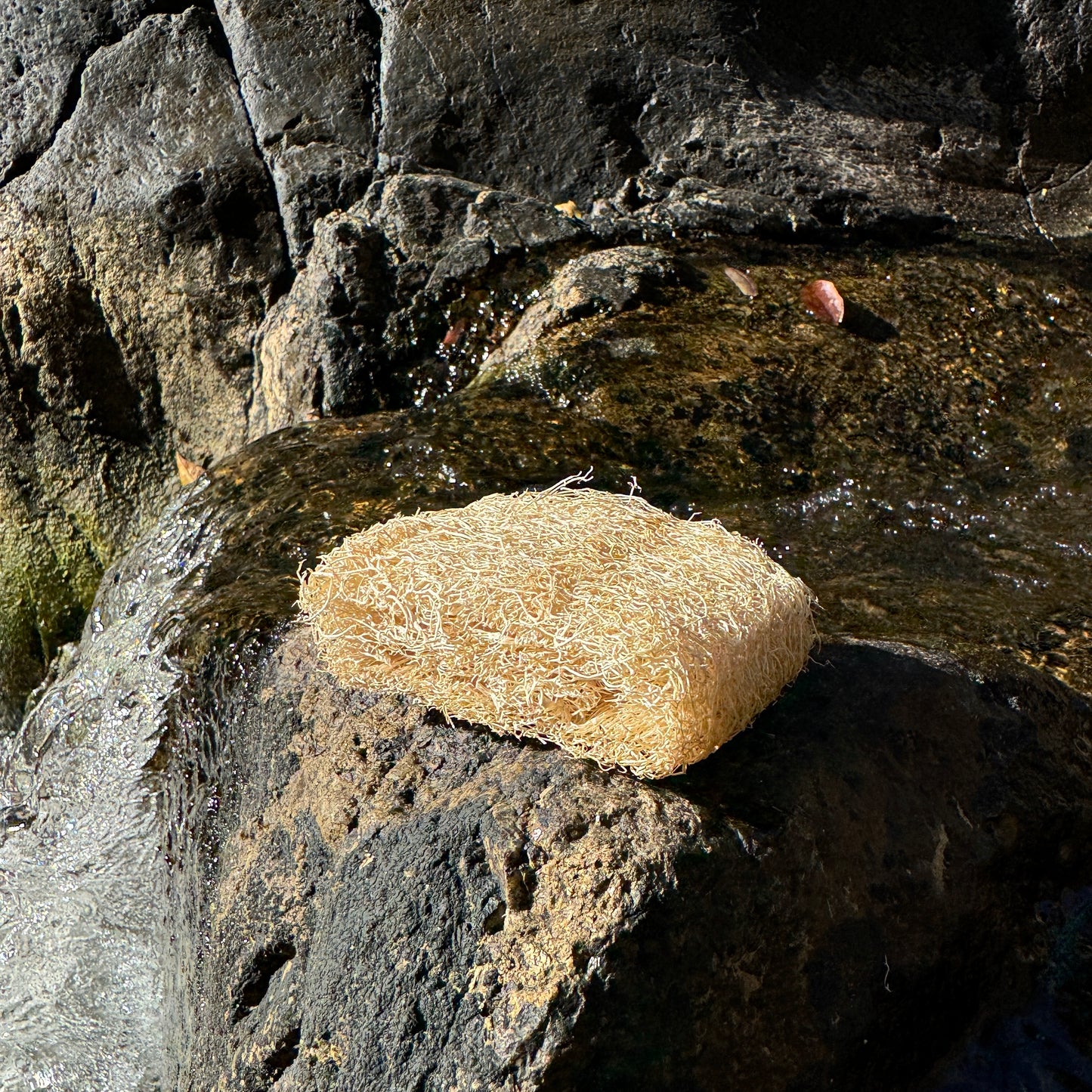 Küchenschwamm Vorteilspaket