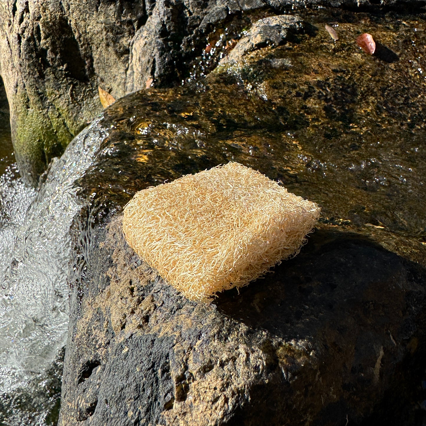 Küchenschwamm Vorteilspaket