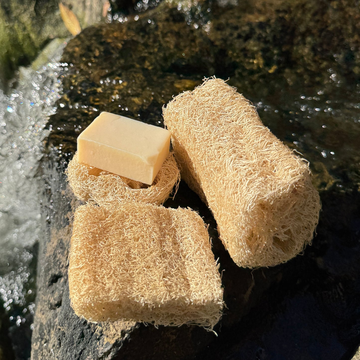 Küchenschwamm Vorteilspaket